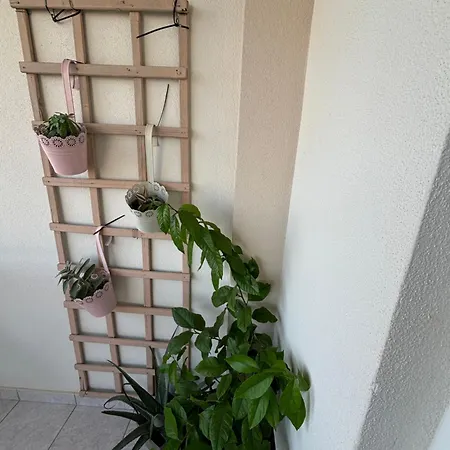 Apartament Centar Studio Apartman Ingrid Pogled More